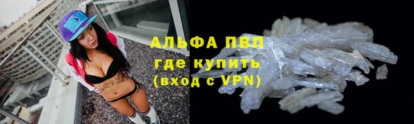 спайс Баксан