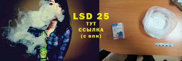 прущие грибы Пересвет