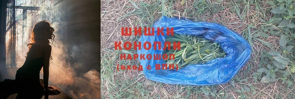 спайс Баксан