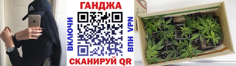 Шишки марихуана план Ковылкино